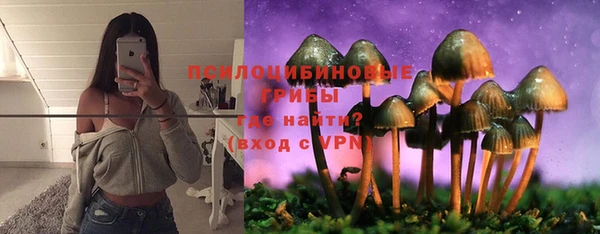 гидропоника Алексеевка